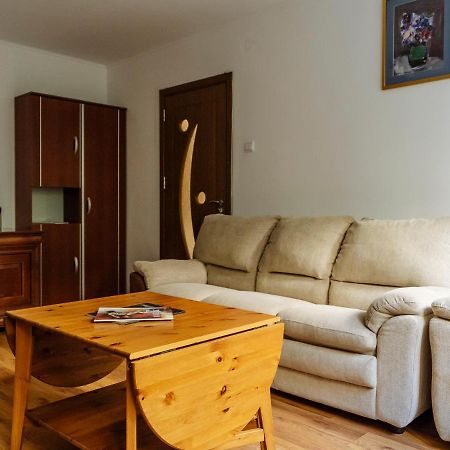 Old Town Historic Apartment With Backyard Mini Park ブカレスト エクステリア 写真
