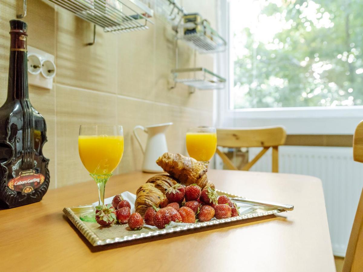 Old Town Historic Apartment With Backyard Mini Park ブカレスト エクステリア 写真