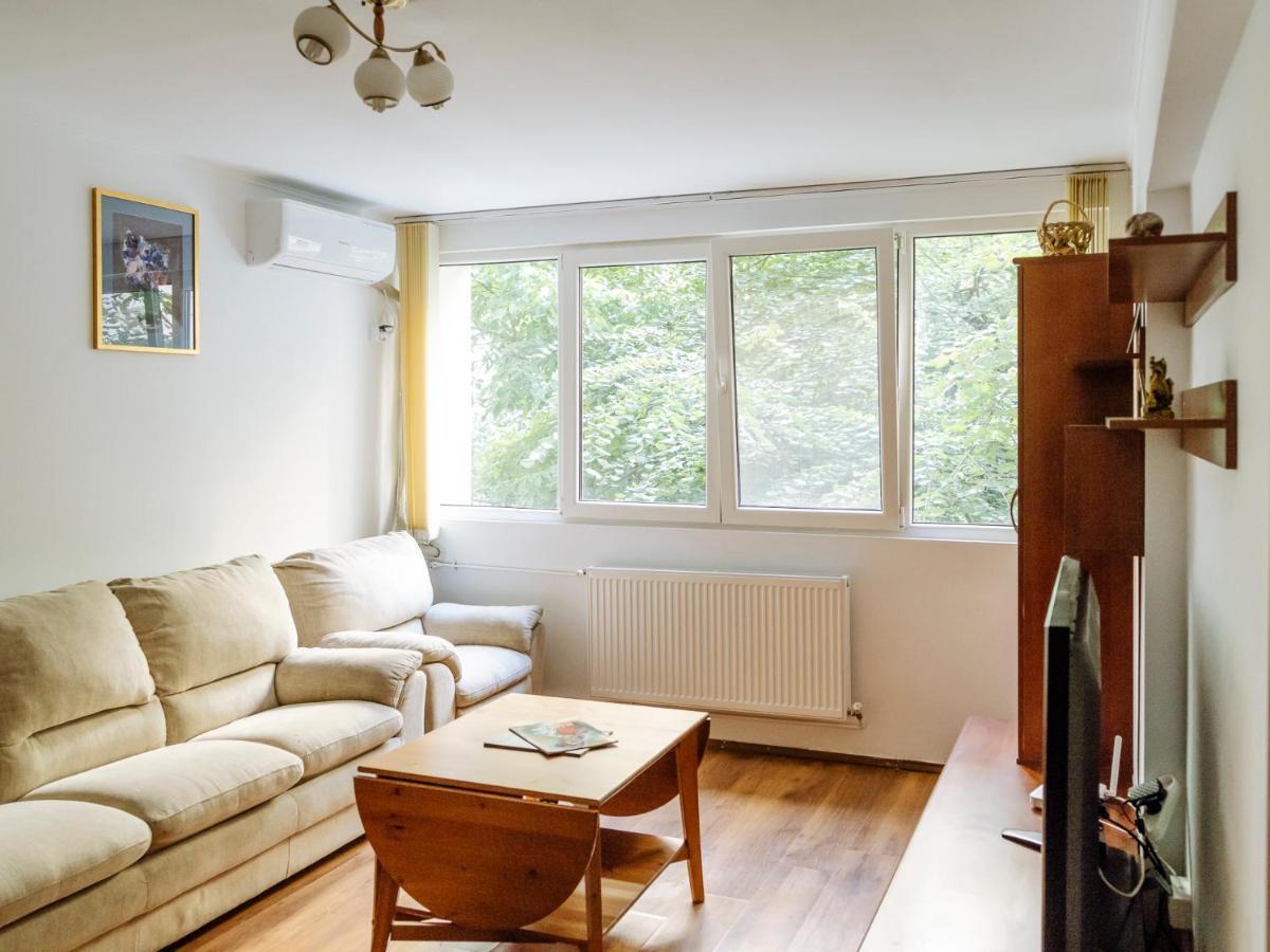 Old Town Historic Apartment With Backyard Mini Park ブカレスト エクステリア 写真